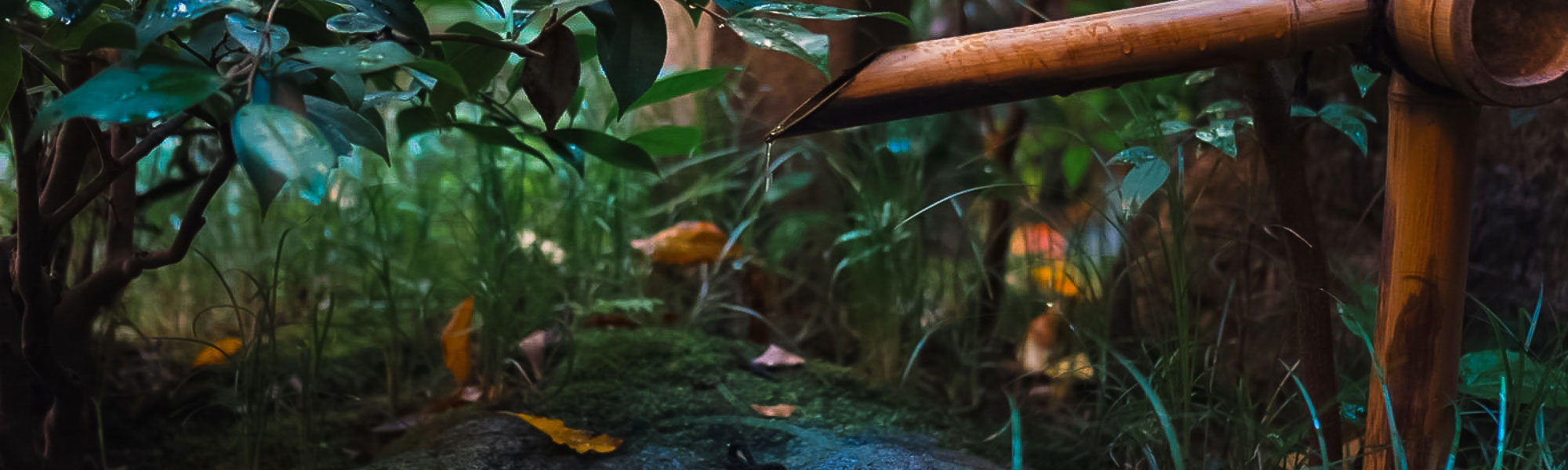 Classic tea & Cocktail Gion Kashoan garden